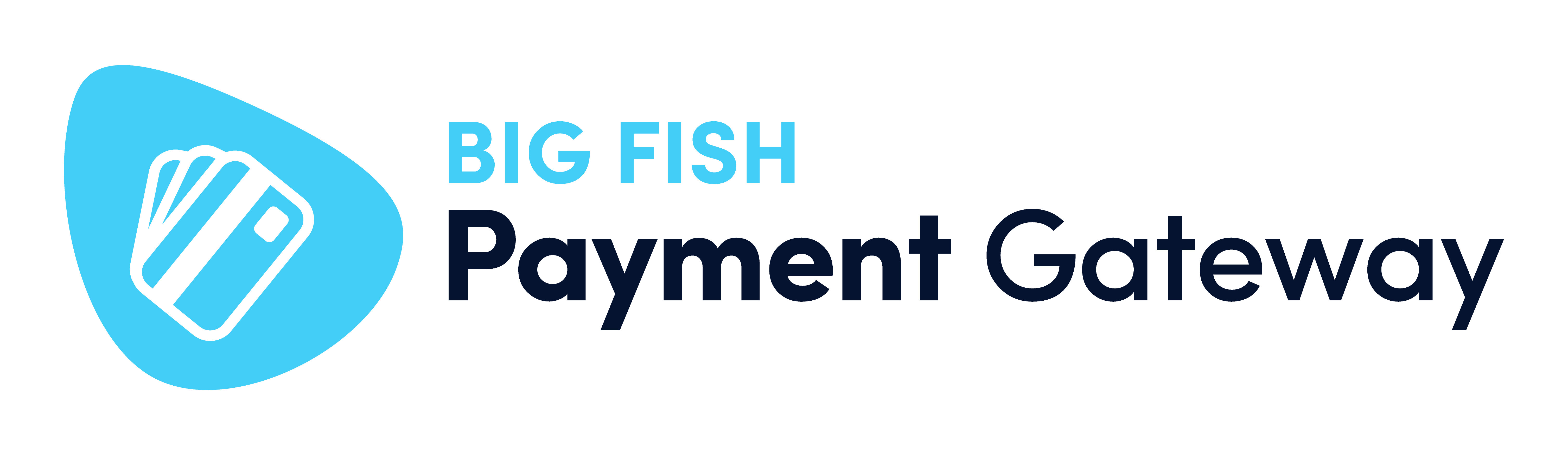 Big Fish Payment Gateway